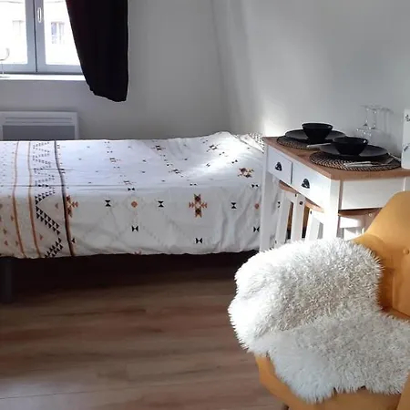 Le Scandinave De Appartement