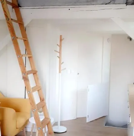Le Scandinave De Appartement